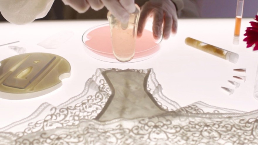 Bacteria grown sanitary pads to heal infection 