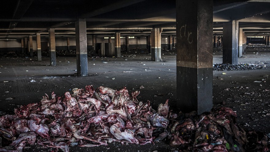 Informal butchers. "Wake up, This is Joburg" is a series of 10 books that tells the stories of the peculiar urban inhabitants of Johannesburg. Image: Mark Lewis