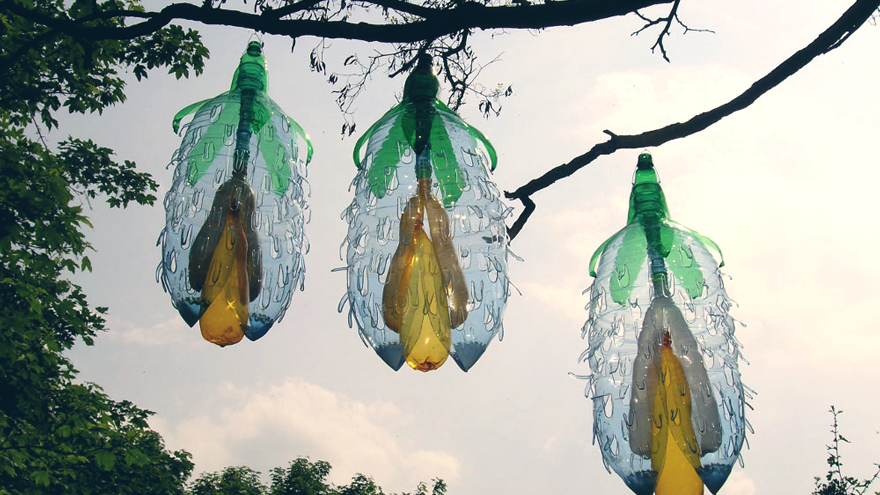 PET plastic bottle art