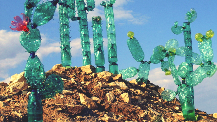 PET plastic bottle art