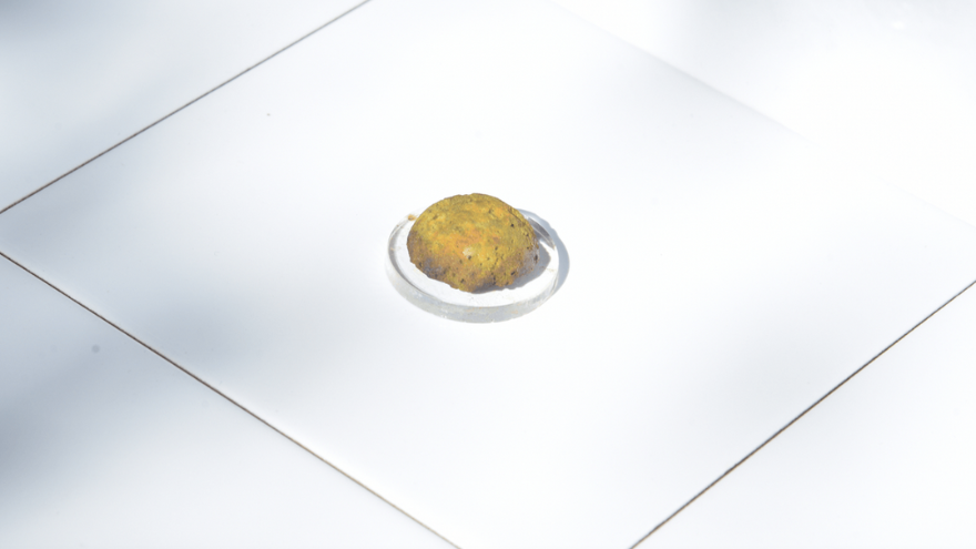 Credit: Yidan Xu Credit: Yidan Xu