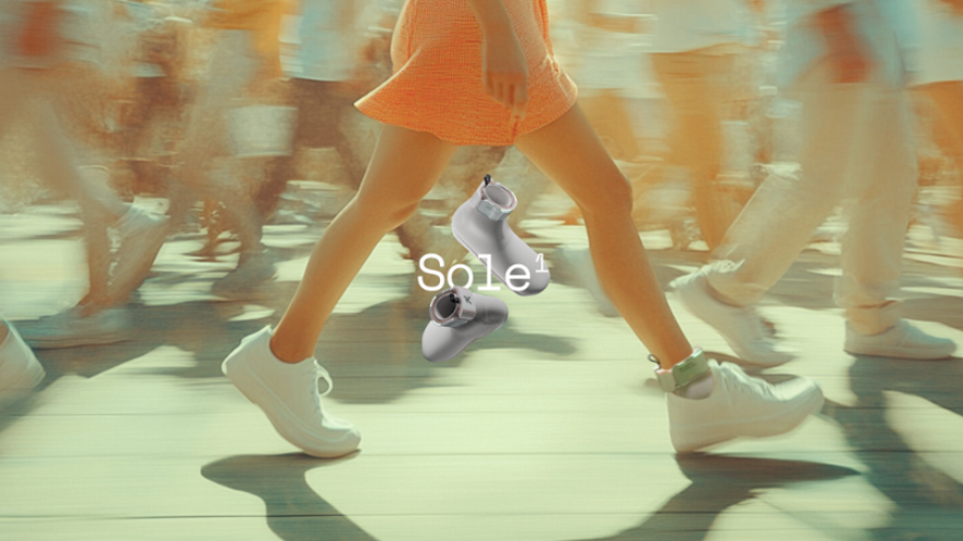 Credit: Bradley Wagman, Viktor Bokisch, SOLE¹