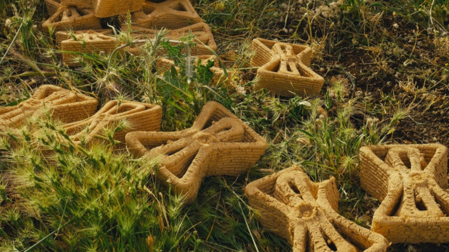 Credit: MTRL, TreeSoil Credit: MTRL, TreeSoil