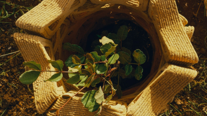 Credit: MTRL, TreeSoil Credit: MTRL, TreeSoil