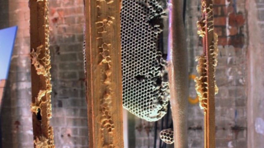 Close up of the Interspecies Collaboration concept. 