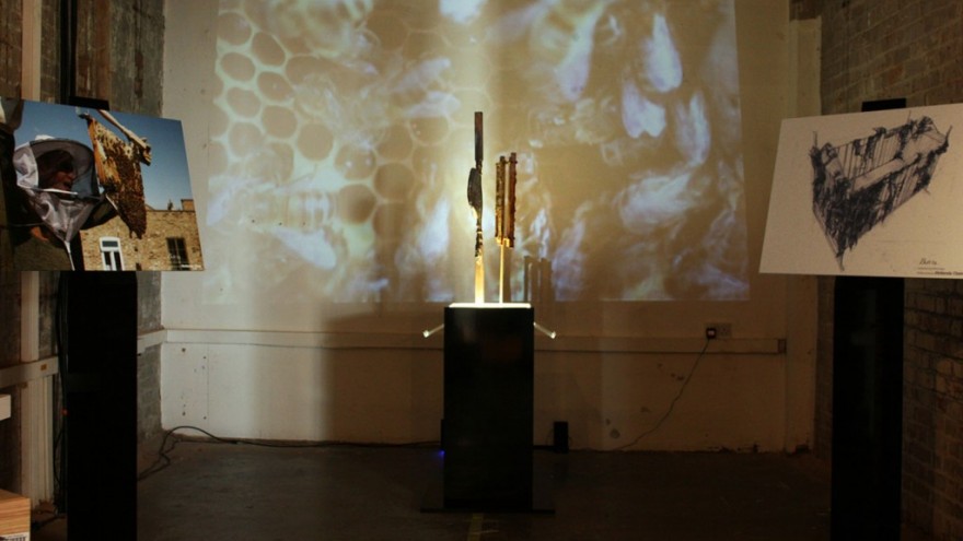 Interspecies Collaboration by Built By. 