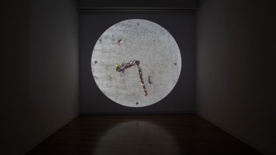 Catalysis for Life – New Language for Dutch Art & Design. Photo: Keizo Kioku. 