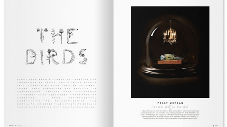 Little White Lies magazine, in collaboration with David Carson. 