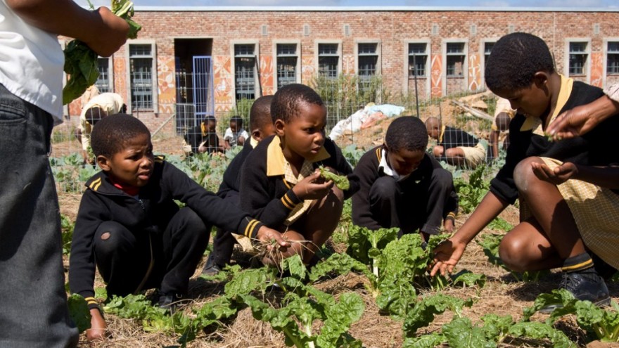 Veggie patch at Seven Fountains. Photo: Angela Buckland. 