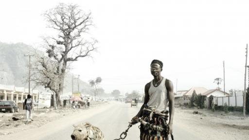 Pieter Hugo