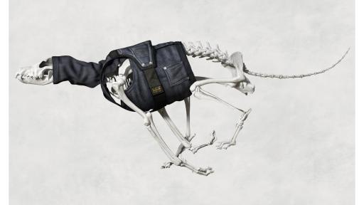 G-Star RAW Skeleton Dog. Image: G-Star RAW. 