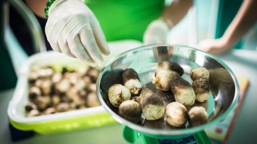 A social entrepreneur in Vietnam uses mushrooms to help the environment and provide the local farming community with a sustainable income