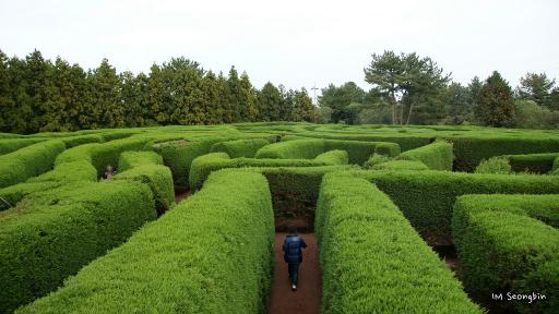 The way participants perform in the virtual maze gives researchers insight into their condition. Image Source: Flickr