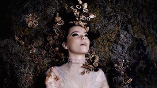 W&N collaborated with Bjork on multiple occasions. 