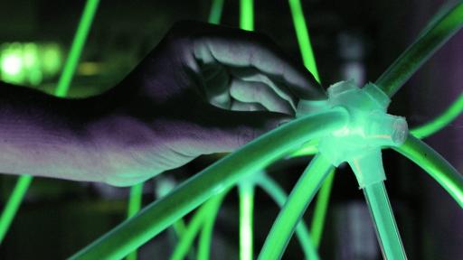 Biolux joint
