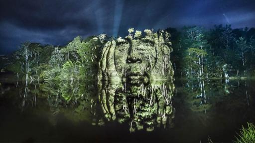 The Crying Forest