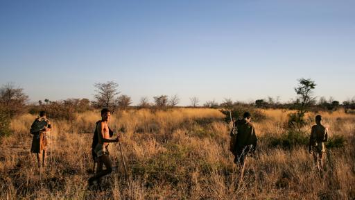 Kalahari Bushmen by Chanel Sophia Oosthuizen
