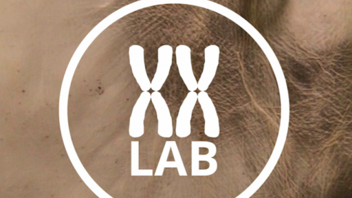XXLab