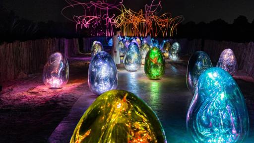 Photographs: TeamLab