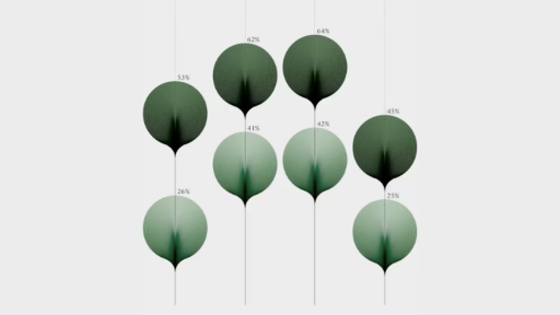 Shapes of Inequalities by Federica Fragapane