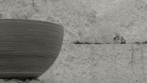 CREDIT: Anne Immelé