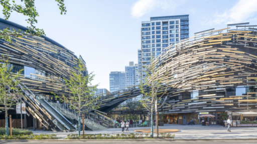 Image by Fangfang Tian