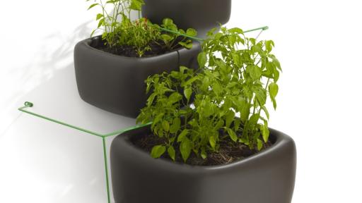 Wallflowerᵀᴹ Vertical Garden