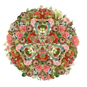 Work by Mandy Roberts. Work by Mandy Roberts.