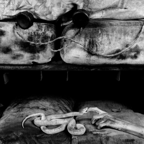 Bite, 2007. Courtesy of Roger Ballen.