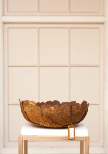 Studio FormaFantasma's "Botanica".