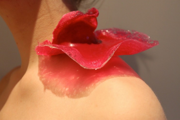 Micro-Nutrient Couture by Emily Crane. 