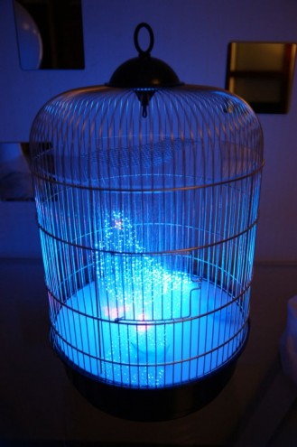 The Blue Bird. Photo: Makoto Tojiki. 