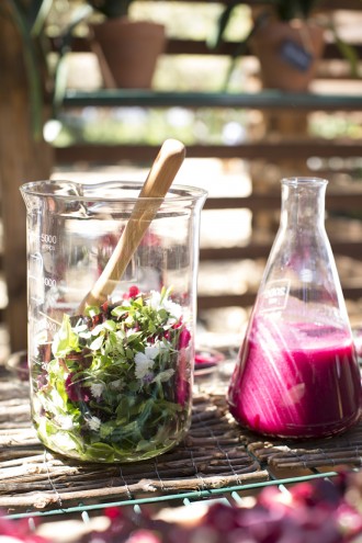 A feast for all the senses - Design Indaba's Speaker lunch at Babylonstoren. Images curtesy of Adel Ferreira.