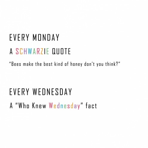 2014 Diary by Schwarzie™. 