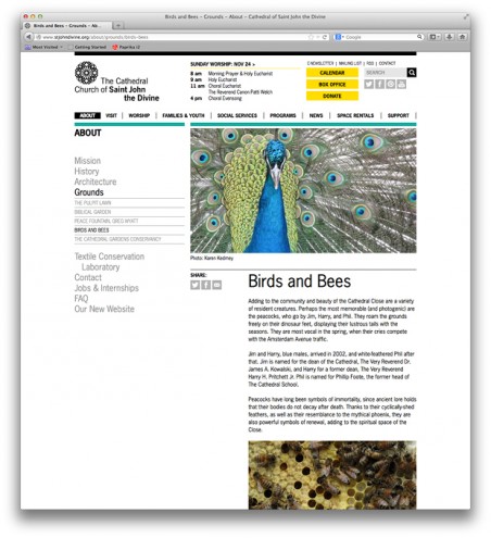 Website redesign for the Cathedral Church of Saint John by Michael Bierut. 
