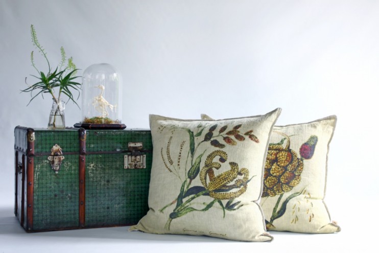 Magic Veld collection by Evolution Product.