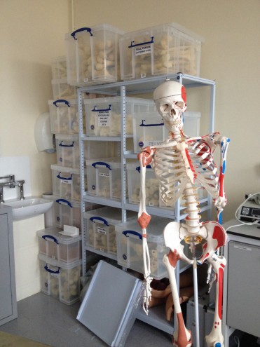 MSk Lab, Charing Cross Hospital.