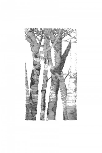 A sneak peak of the illustrations in Harris' first anthology, "Seven"