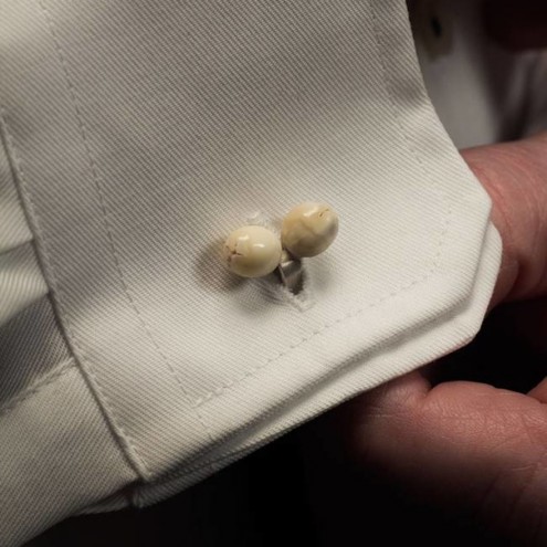 The Human Ivory Collection