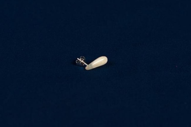 The Human Ivory Collection