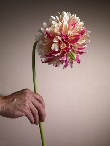 Flower design by Andreas Verheijen. Photo: Wendelien Daan. 