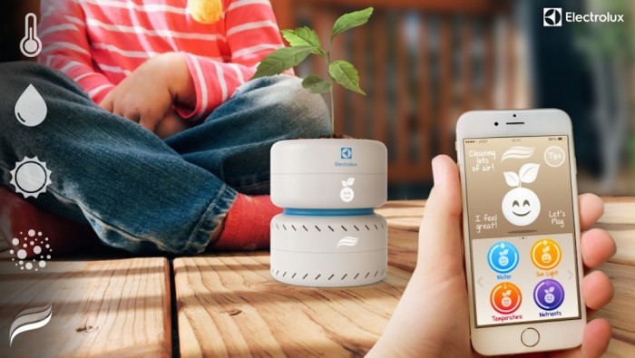 Pure Life aims to teach kids about air purification and conservation by allowing them to raise a tree. 