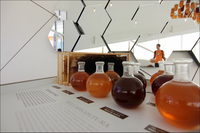 Egyptian students designed a new silver and honey-laced material to accelerate the healing speed of diabetics’ wounds. Egyptian students designed a new silver and honey-laced material to accelerate the healing speed of diabetics’ wounds.