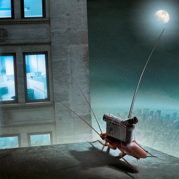 Image Credit: Igor Morski