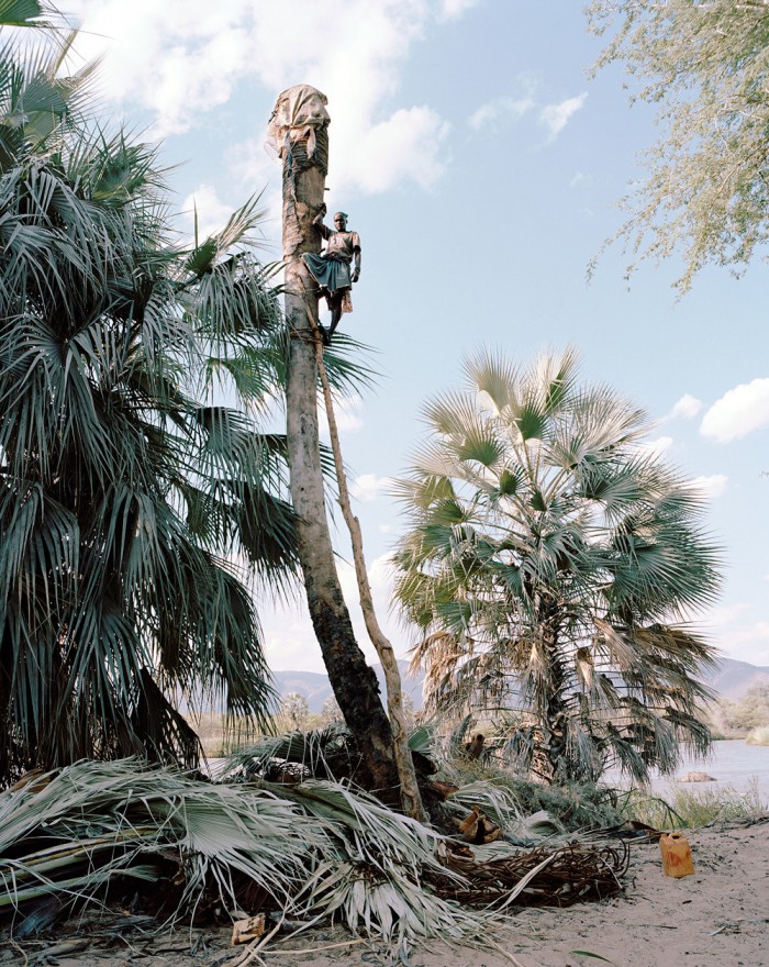 Photographs capture the dangerous practice of wine collecting in Namibia 