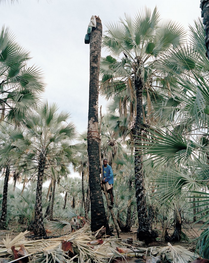 Photographs capture the dangerous practice of wine collecting in Namibia 