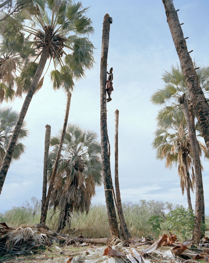 Photographs capture the dangerous practice of wine collecting in Namibia 