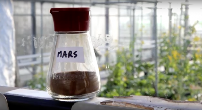 Scientists at Wageningen University have successfully grown edible cereals and vegetables including peas, radishes, tomatoes and rye in Martian soil