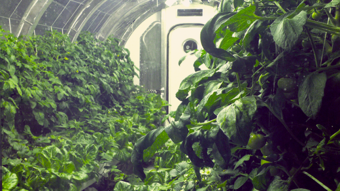 NASA greenhouse undeground