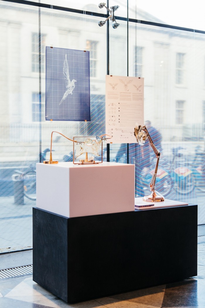 The Great Passenger Pigeon Comeback project - museum 